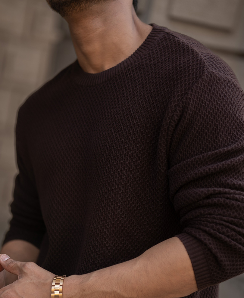 chocolate-brown-regular-fit-full-sleeves-t-shirt